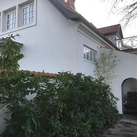 The Old Chestnut Tree Bed & Breakfast *