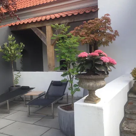 The Old Chestnut Tree Bed & Breakfast